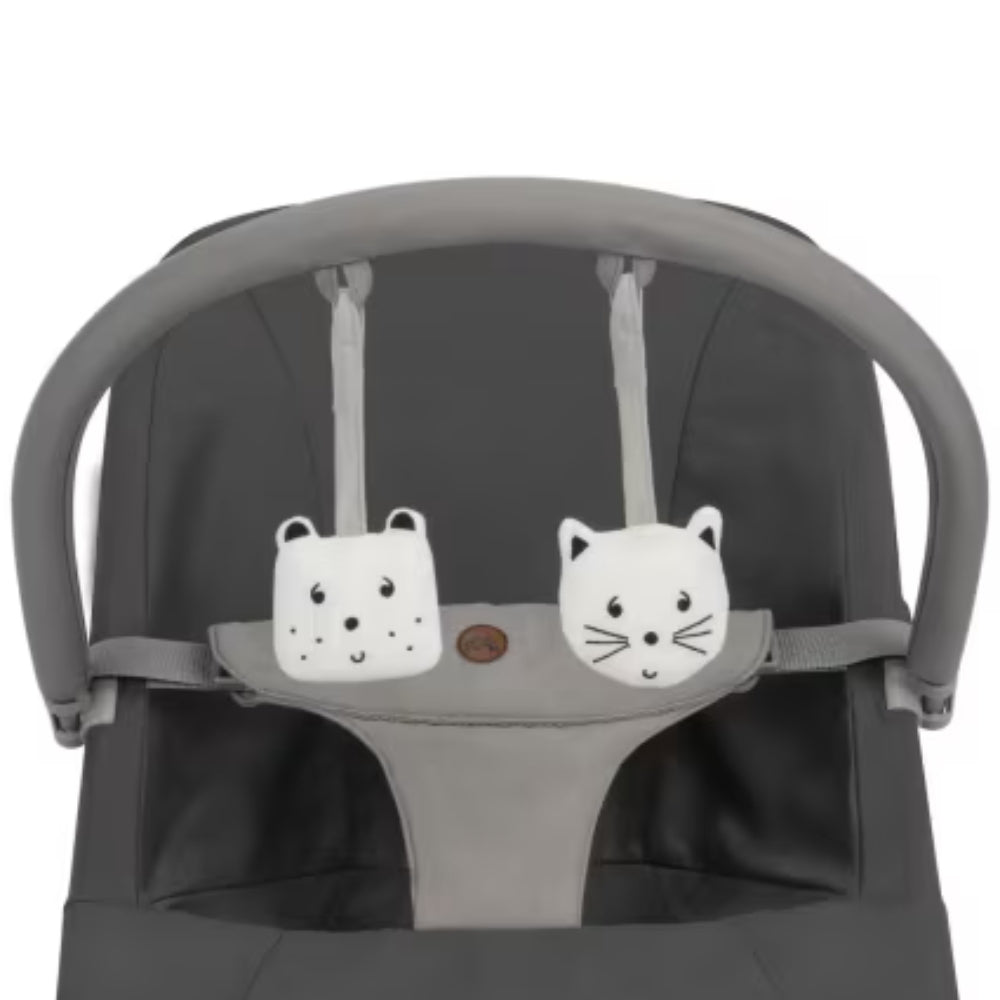 Bebeconfort Aster Bouncer