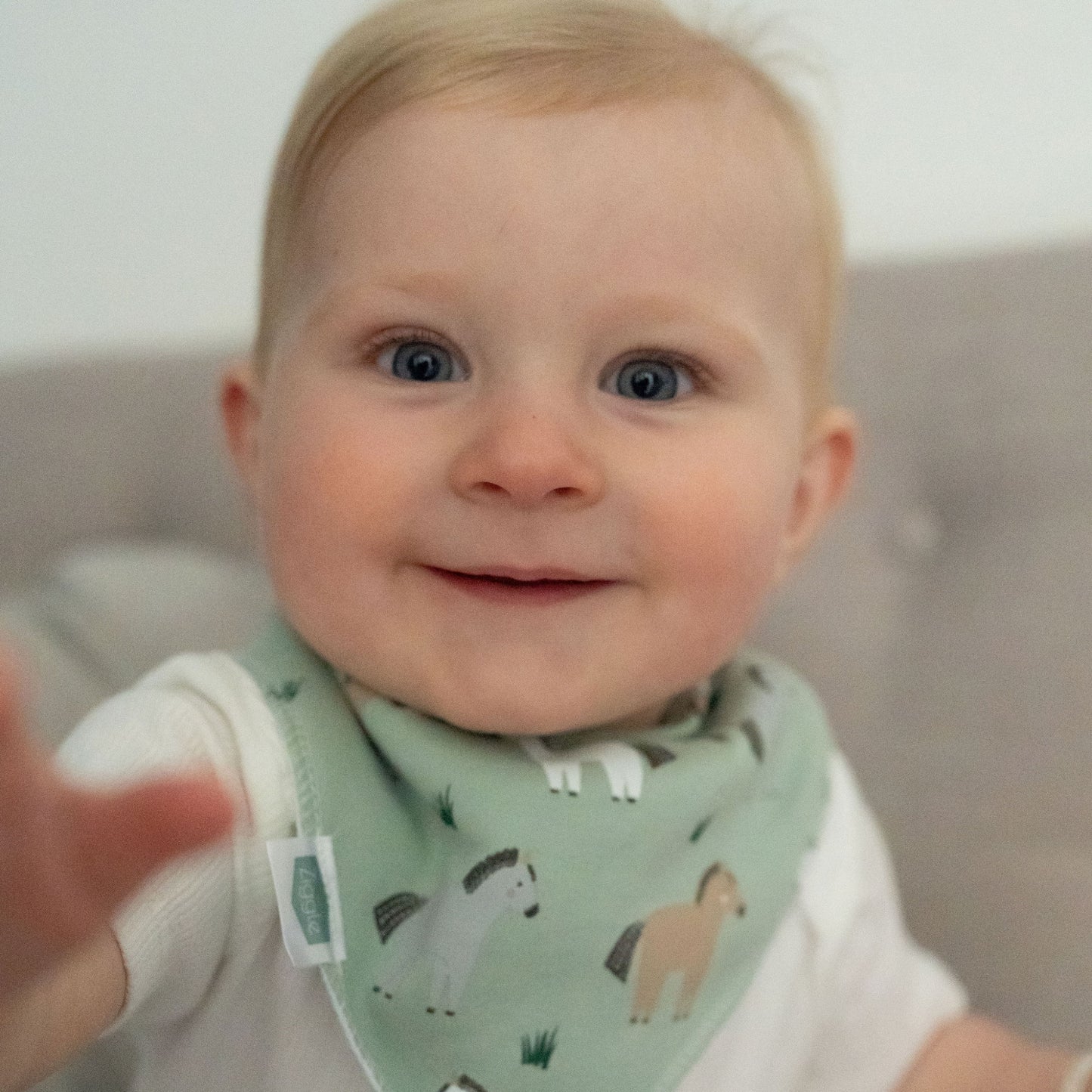 Ziggle Bandana Dribble Bib, Horses