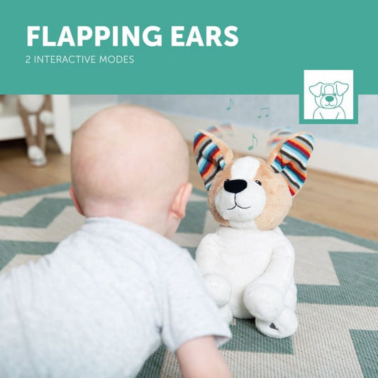 Zazu Peek-A-Boo Soft Toy, Danny