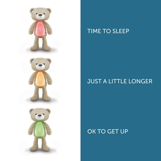 Zazu Brody The Bear, Soother & Sleep Trainer