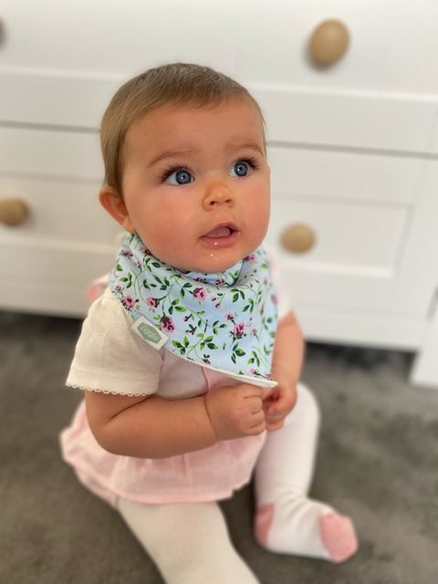 Ziggle Dribble Bib Vintage Blue Rose