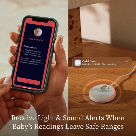Owlet Dream Duo™ (Sock + Sight) Smart Baby Monitor