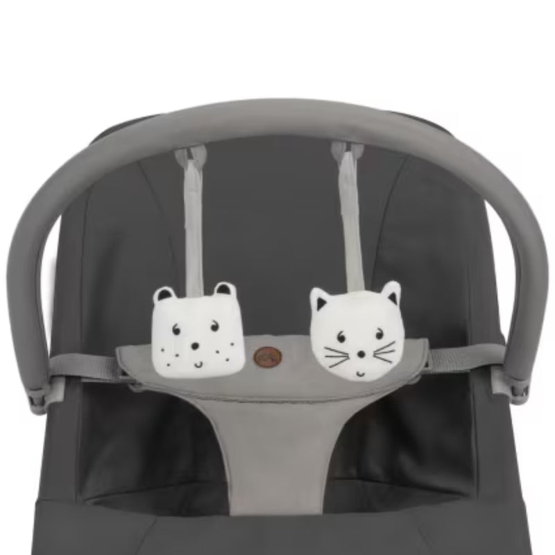 Bebeconfort Aster Bouncer