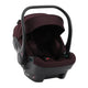 Mulberry