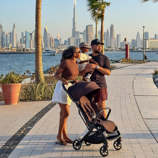iCandy PIP Stroller, Muddy Puddles