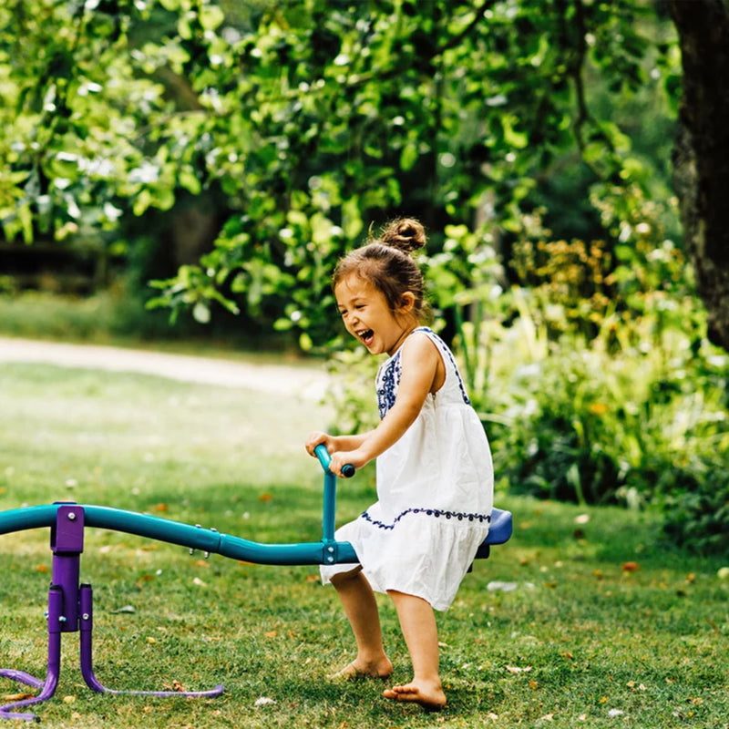 Plum Rotating See Saw, Purple/Teal