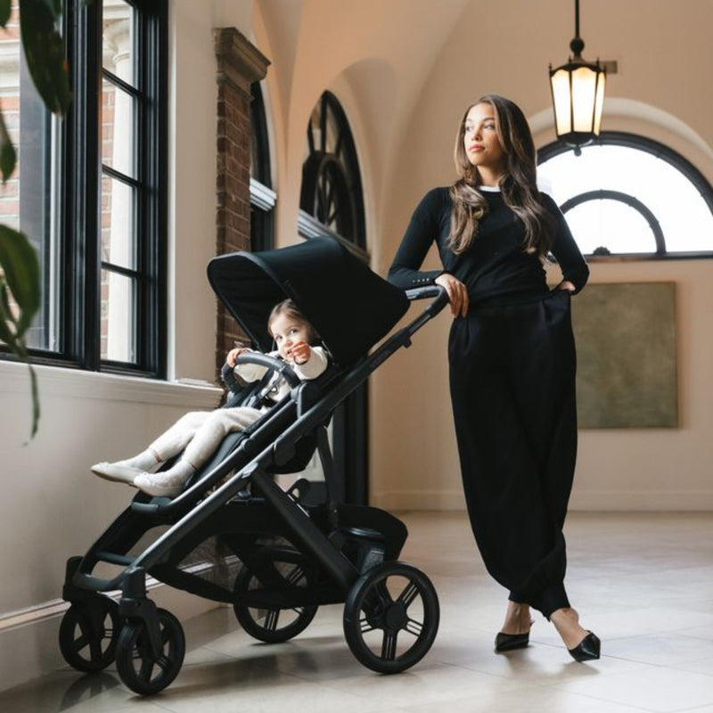 UPPAbaby Vista V3 Stroller, James