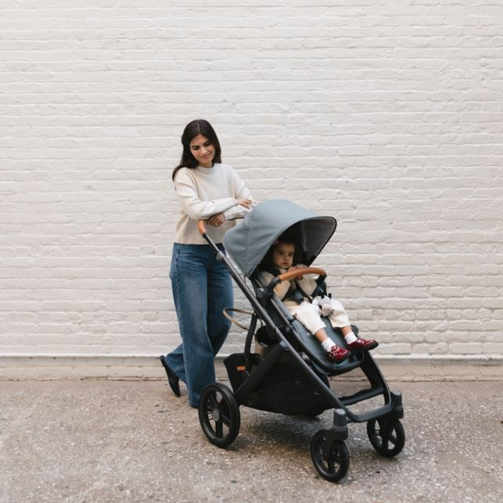 UPPAbaby Vista V3 Stroller, Dillan
