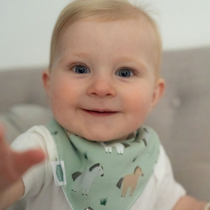 Ziggle Bandana Dribble Bib, Horses