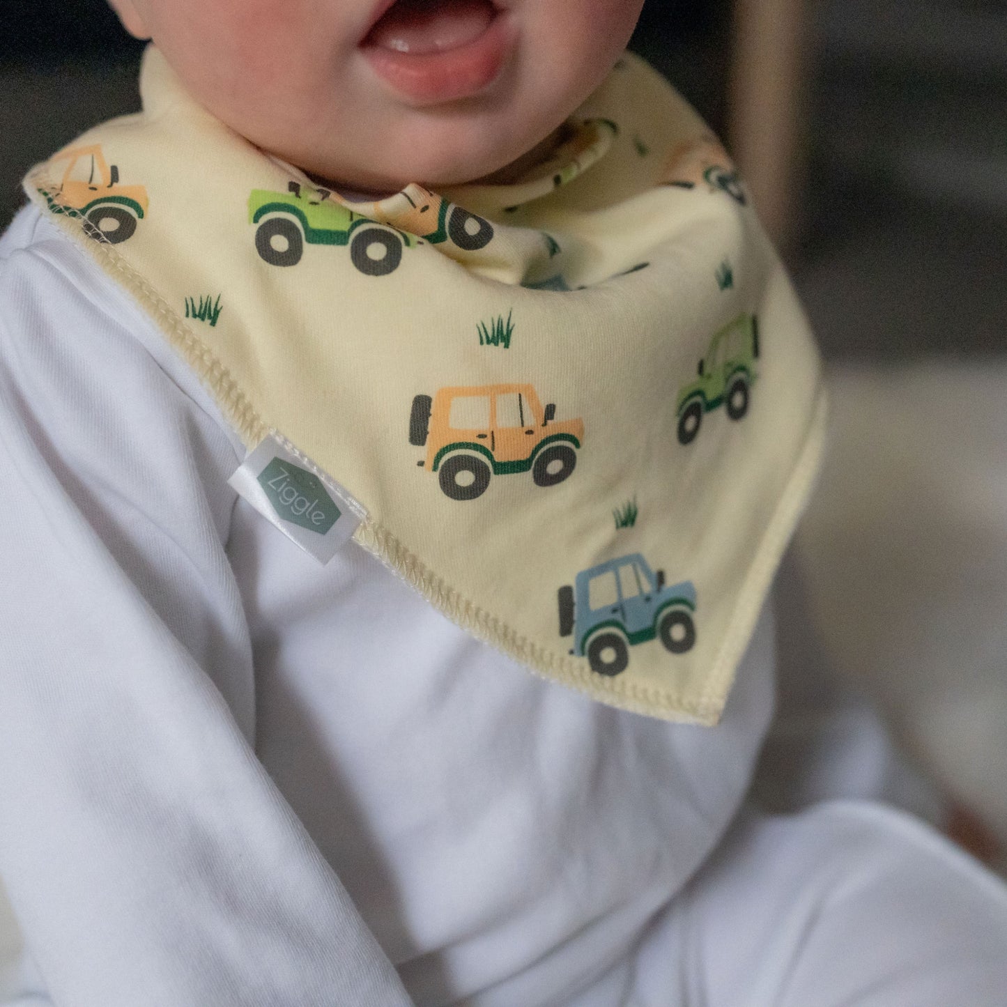 Ziggle Bandana Dribble Bib, Landrovers