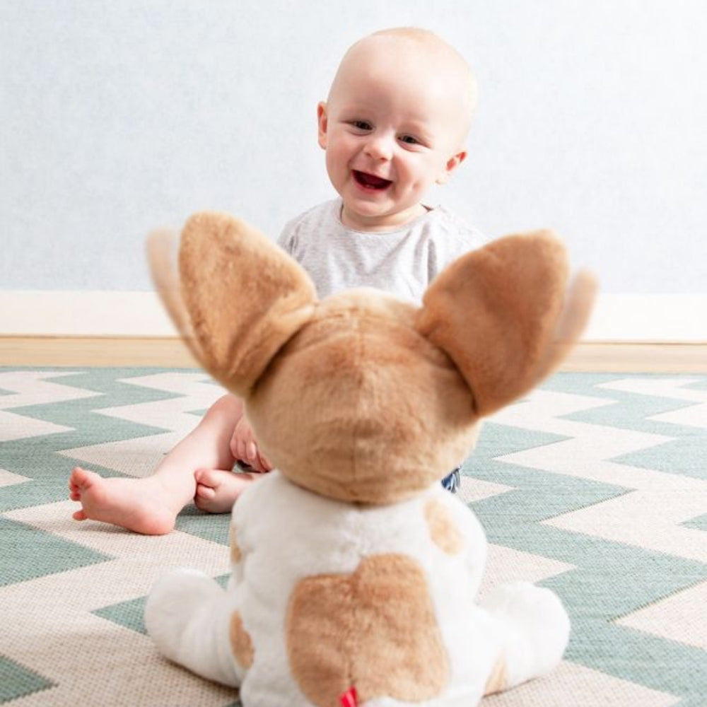 Zazu Peek-A-Boo Soft Toy, Danny