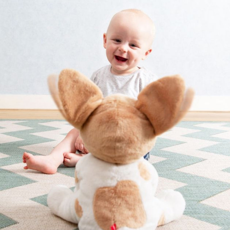 Zazu Peek-A-Boo Soft Toy, Danny
