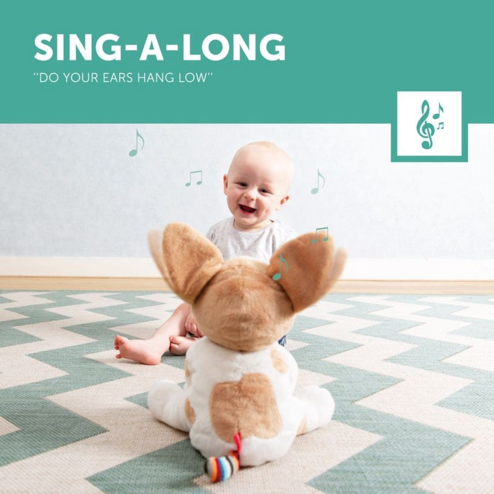 Zazu Peek-A-Boo Soft Toy, Danny