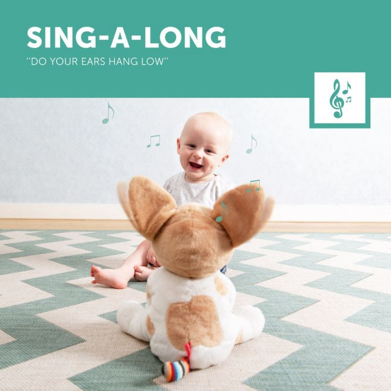 Zazu Peek-A-Boo Soft Toy, Danny