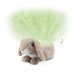 Zazu Ruby Star Projector