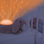 Zazu Ruby Star Projector