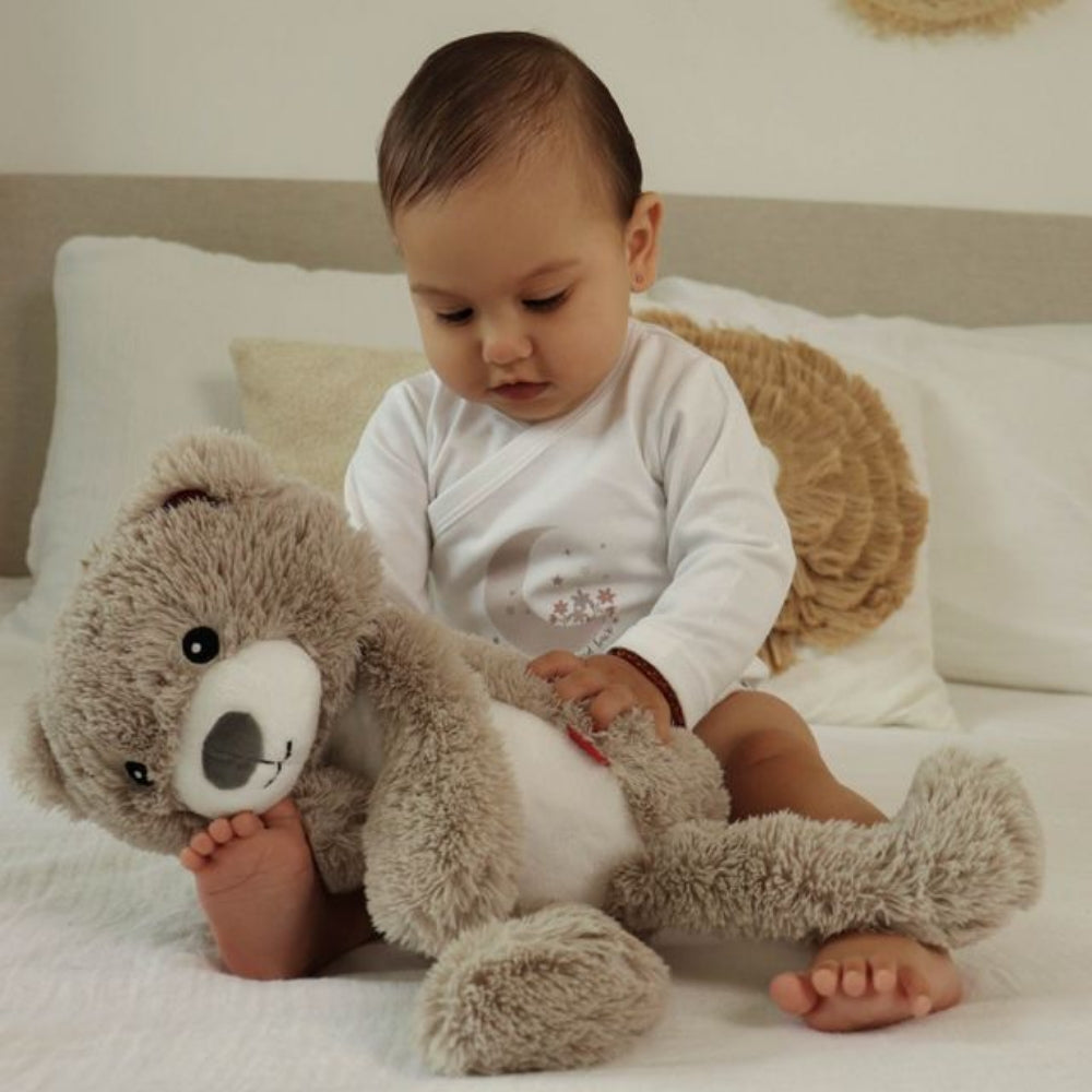 Zazu Brody The Bear, Soother & Sleep Trainer