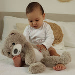 Zazu Brody The Bear, Soother & Sleep Trainer