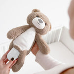 Zazu Brody The Bear, Soother & Sleep Trainer
