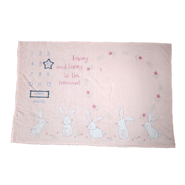 Ziggle Bunnies Milestone Blanket
