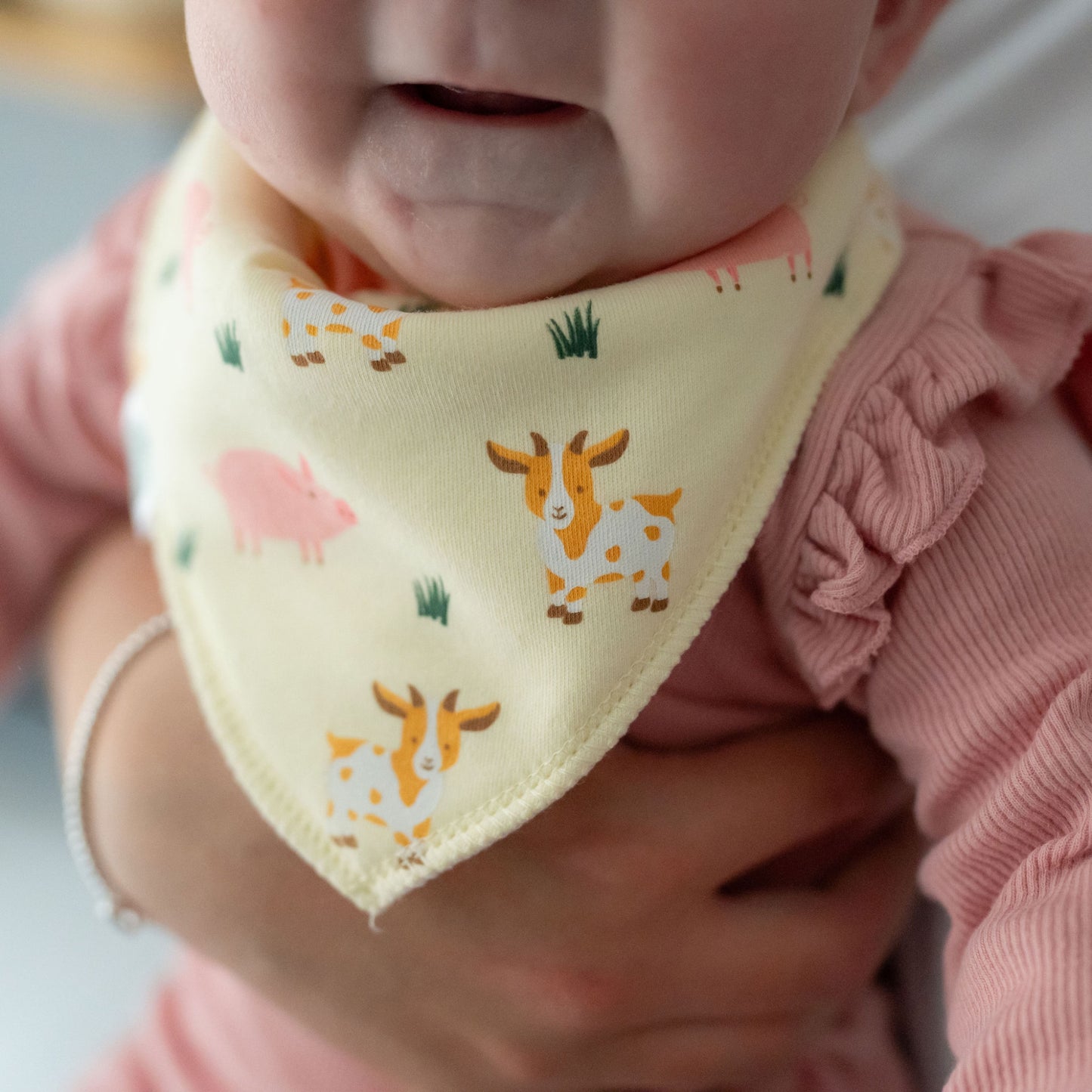 Ziggle Bandana Dribble Bib, Pigs & Goats