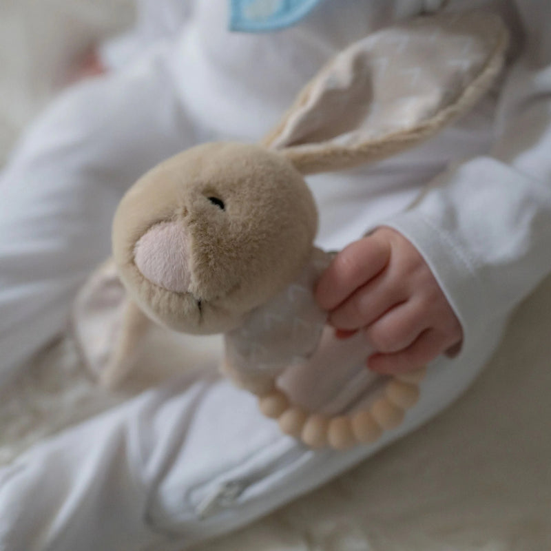 Ziggle Bunnies Baby Essentials Gift Set