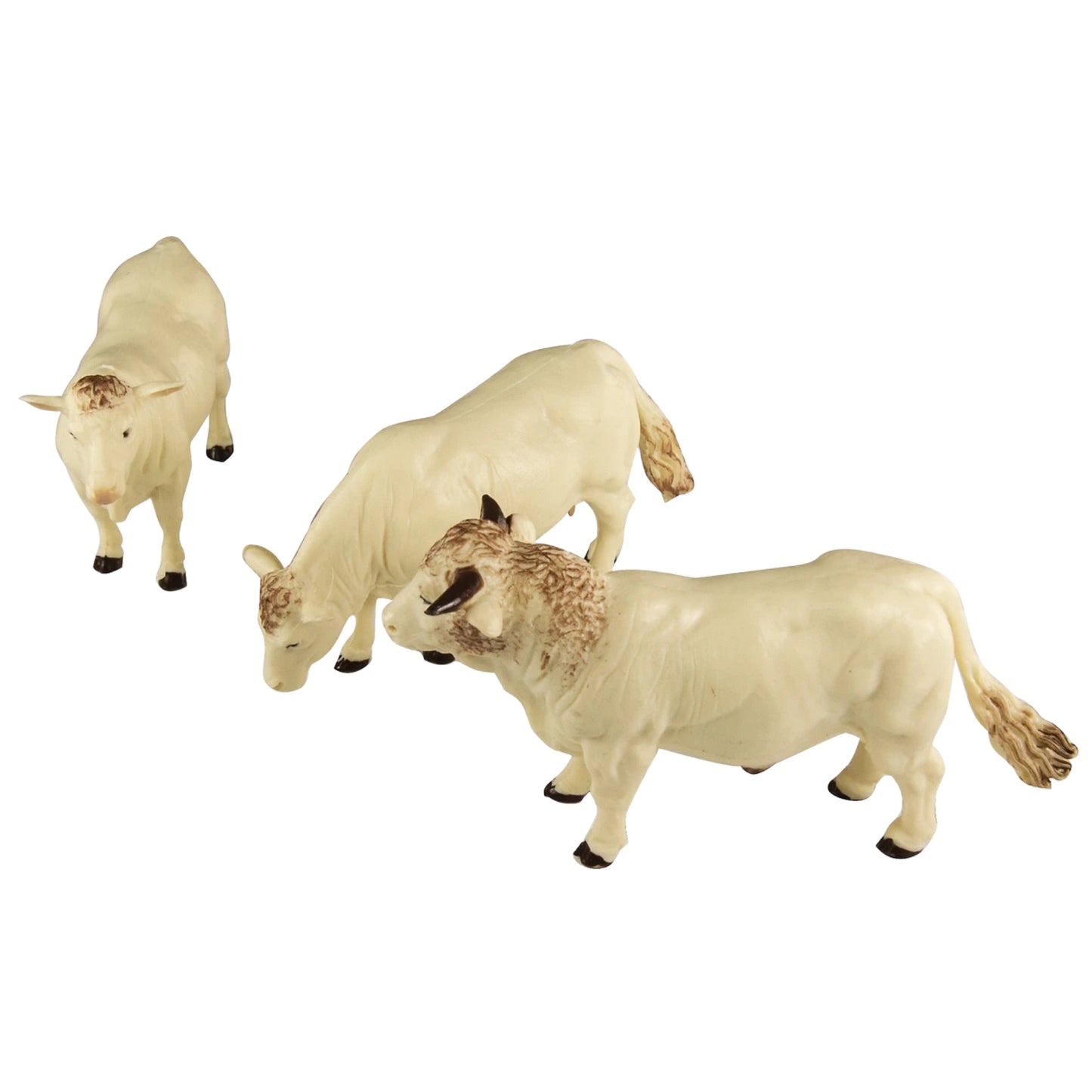 Britains Charolais Cows