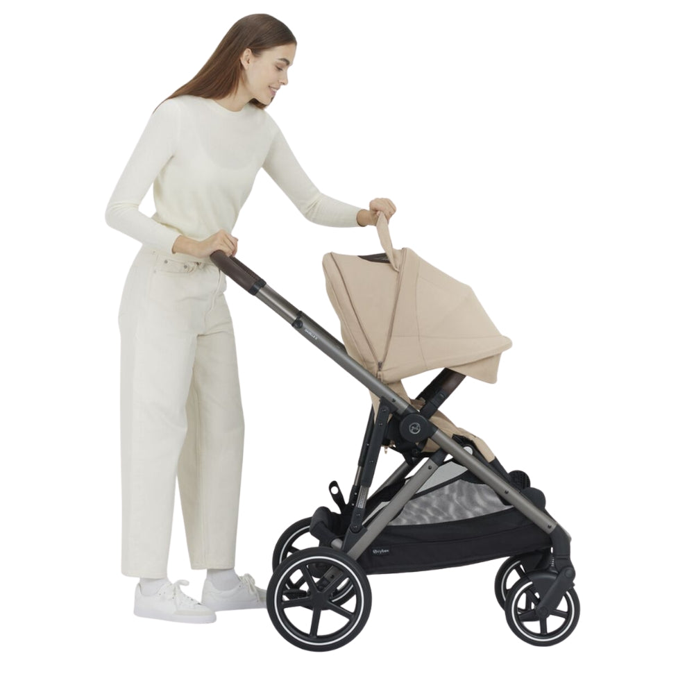 Cybex Gazelle Bundle w/Cloud T