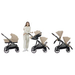 Cybex Gazelle Bundle w/Cloud T