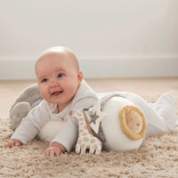 Baby Toys