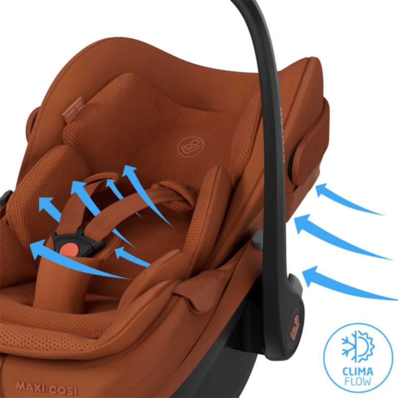 Maxi Cosi Pebble Slide Pro, Copper Terra