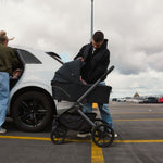 Oyster Vee Travel System, Liquorice