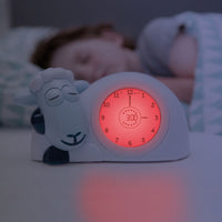 Baby Sleep Aids