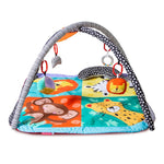 Red Kite Play Gym, Wild Safari