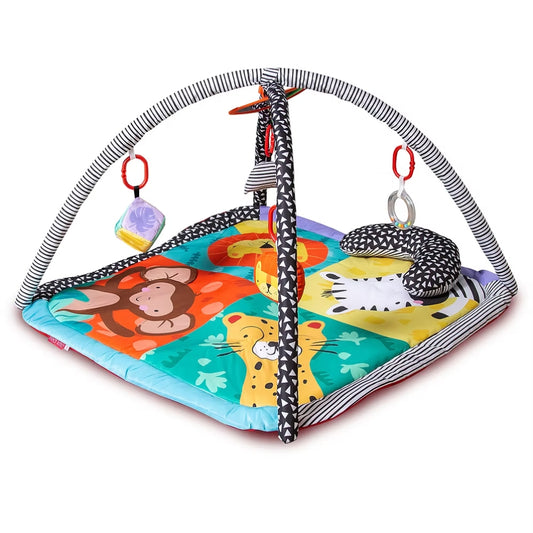 Red Kite Play Gym, Wild Safari