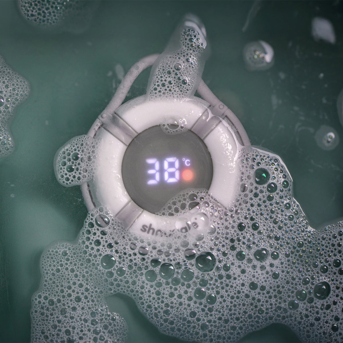 Shnuggle Bobbin Buoy Bath Thermometer