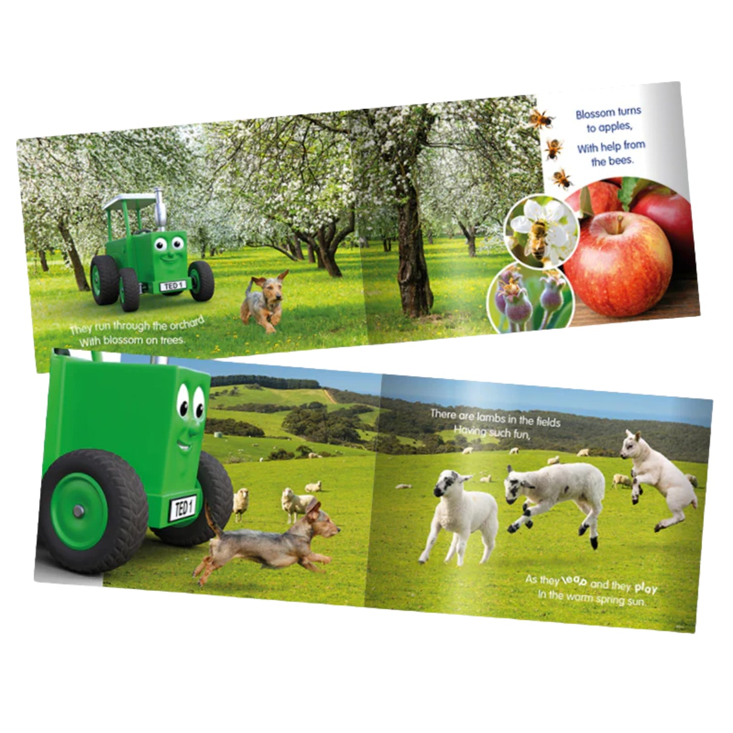 Tractor Ted- A Spring Day Story Book