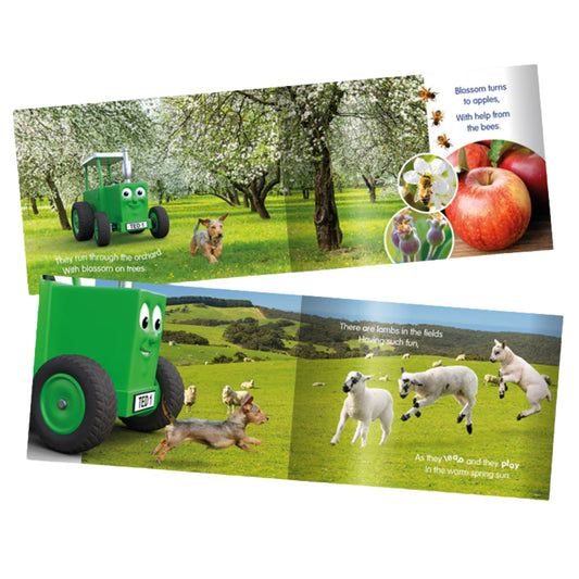 Tractor Ted- A Spring Day Story Book