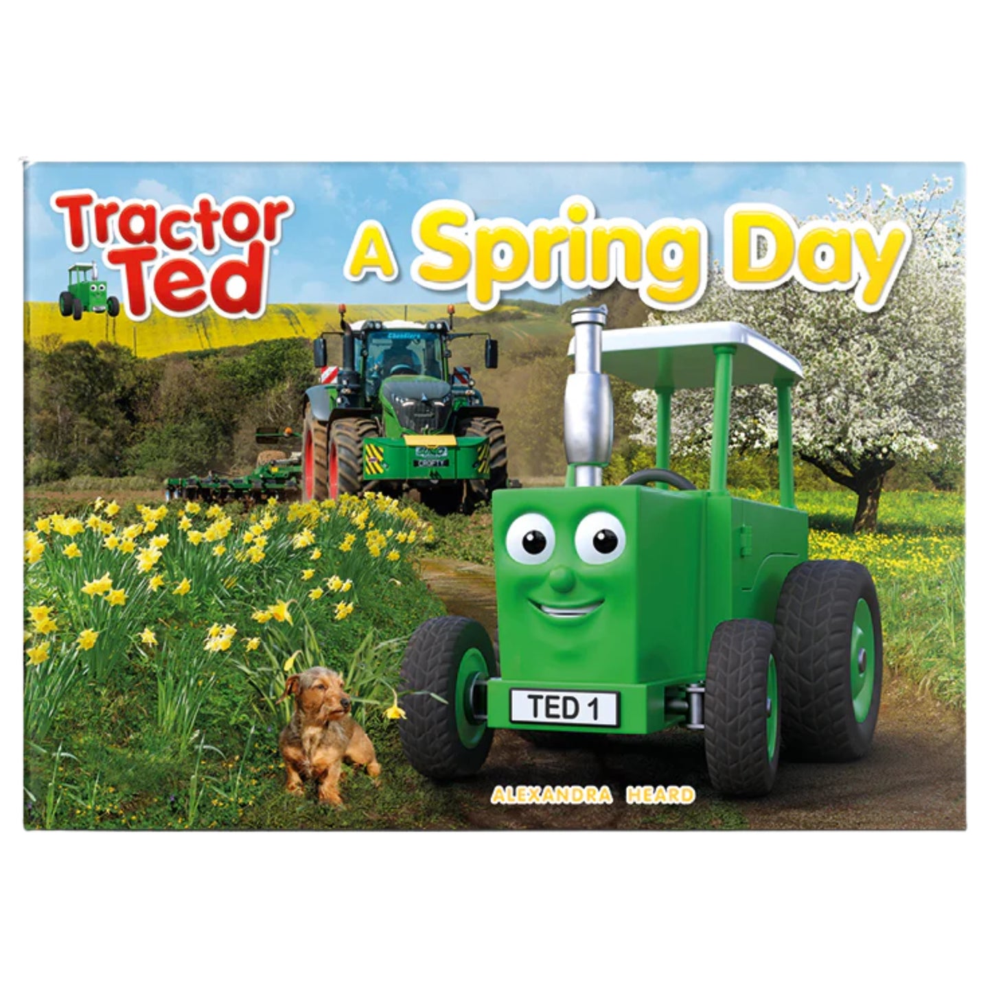 Tractor Ted- A Spring Day Story Book
