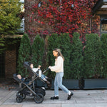UPPAbaby Vista V3 Stroller, Jake