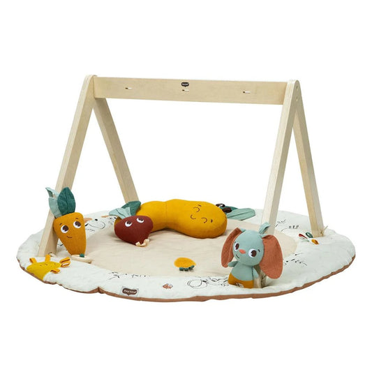 Tiny Love Garden Of Adventures Luxe Gymini