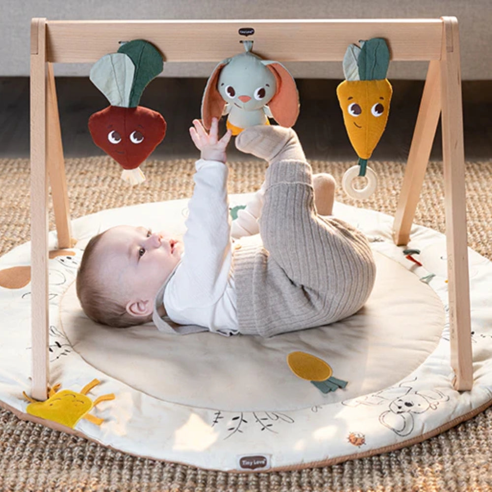 Tiny Love Garden Of Adventures Luxe Gymini