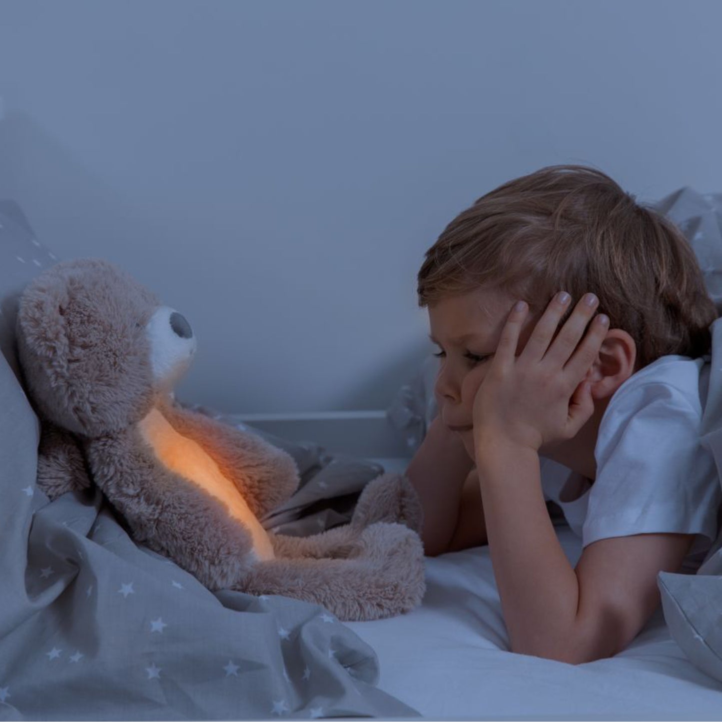 Zazu Brody The Bear - Soother & Sleep Trainer