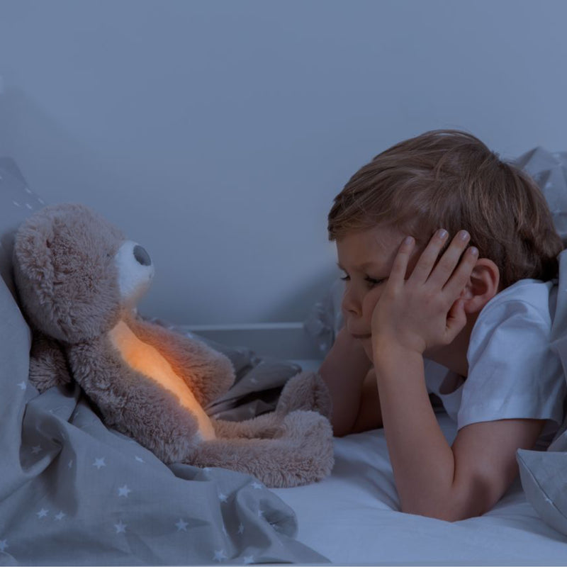 Zazu Brody The Bear - Soother & Sleep Trainer