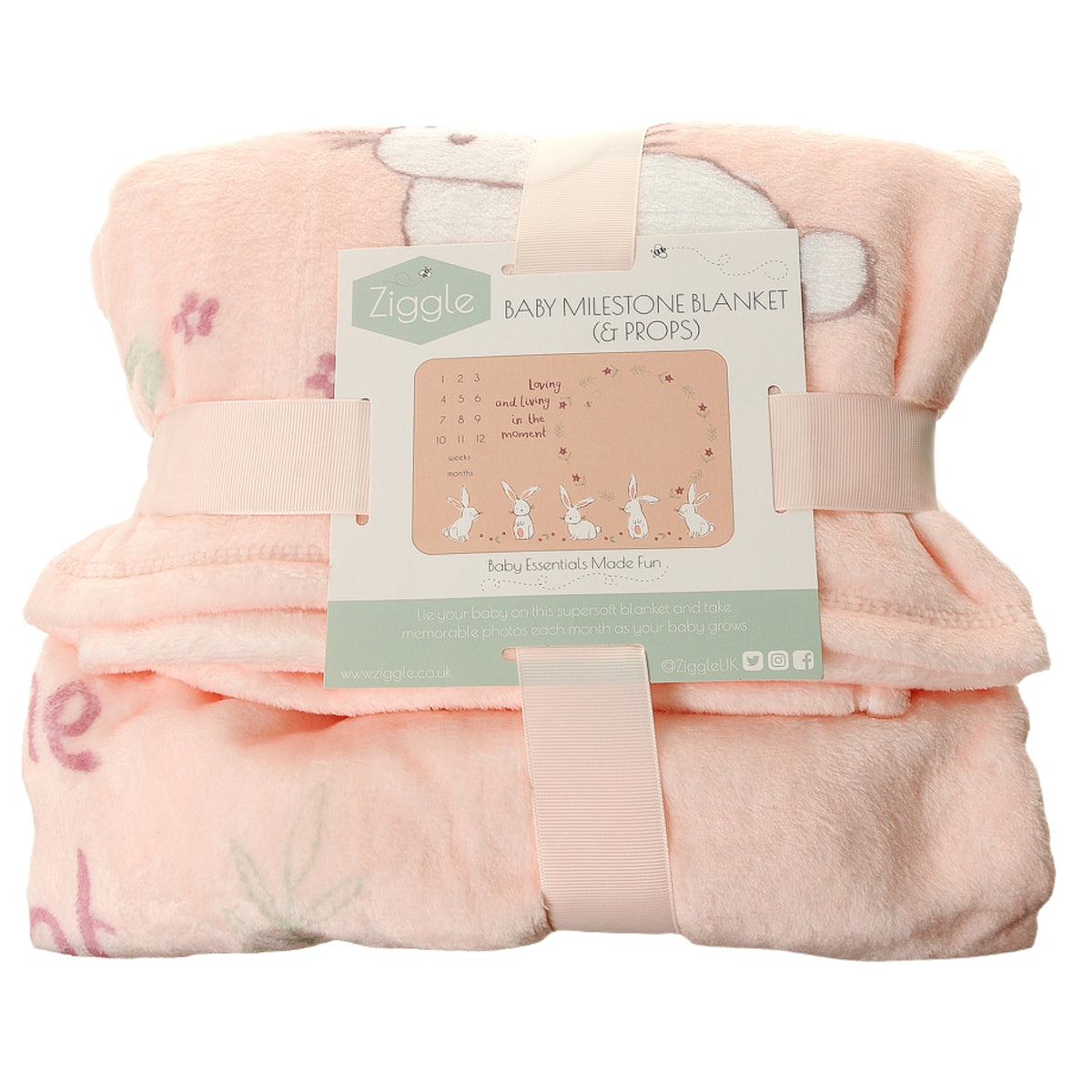 Ziggle Bunnies Milestone Blanket