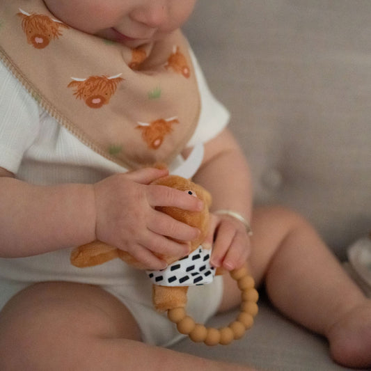 Ziggle Baby Essentials Gift Set, Highland Cow