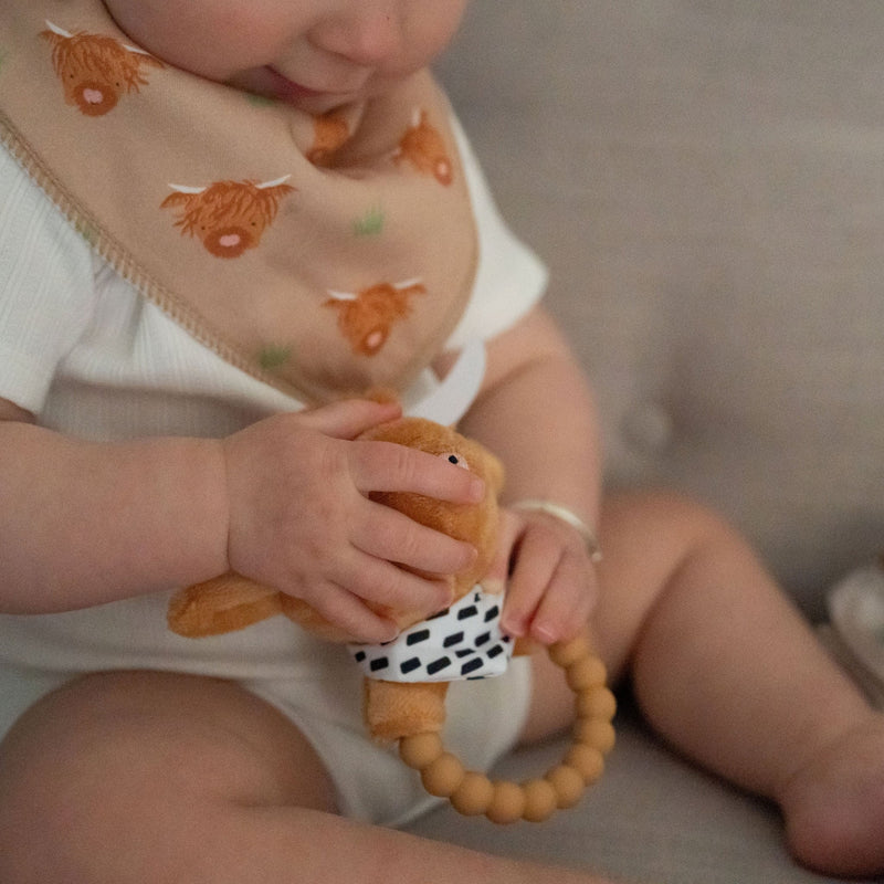 Ziggle Baby Essentials Gift Set, Highland Cow