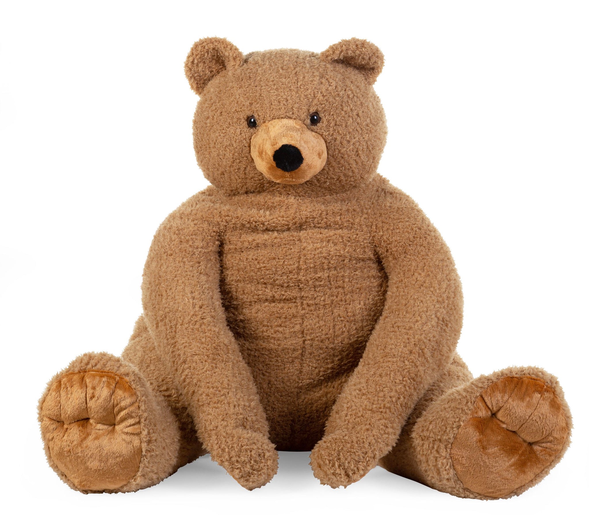 Big Brown Teddy Bear