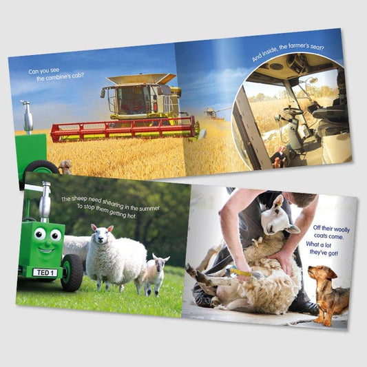 Tractor Ted A Summers Day Book