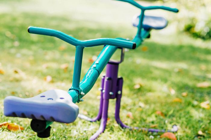 Plum Rotating See Saw Purple/Teal